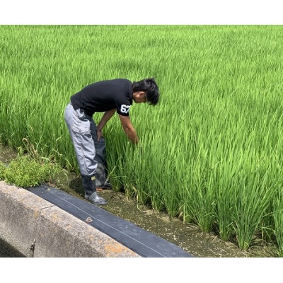 和歌山のお米　食べ比べ15kgセット