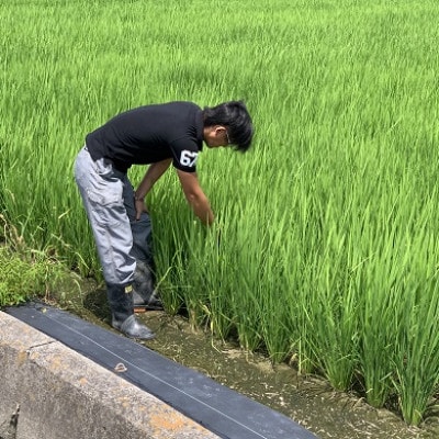 和歌山県産コシヒカリ5kg