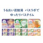 炭酸ガス入浴剤12種の香りW保湿72回分全6箱各12錠入 HERSバスラボW保湿