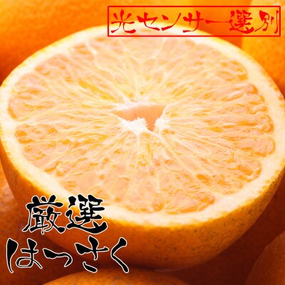 <1月発送>厳選はっさく5kg+150g(傷み補償分)【八朔みかん】【光センサー選別】
