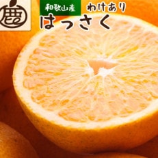 ＜1月より発送＞家庭用 はっさく10kg+300g(傷み補償分)【春みかん】【訳あり】