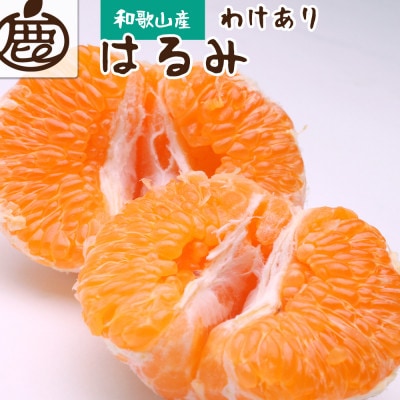 家庭用 はるみ5kg+250g(傷み補償分)【デコポンの姉妹品種・新食感春みかん】【訳あり】