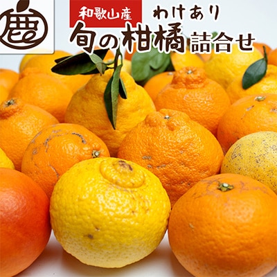<1月より発送>家庭用 柑橘詰合せ7kg+210g(傷み補償分)【訳あり】【フルーツ詰め合せ】