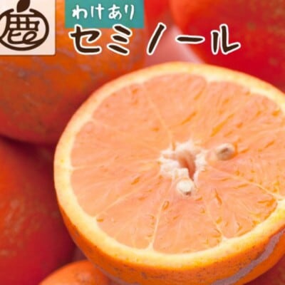 家庭用 セミノールオレンジ5kg+250g(傷み補償分)【春みかん】【訳あり】【光センサー選果】