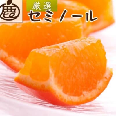 厳選 セミノールオレンジ5kg+250g(傷み補償分)【春みかん】【有田産】【光センサー食べ頃出荷】