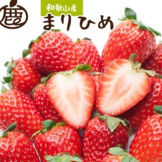 <2024年4月より発送>朝摘み毬姫約600g(300g前後×2P)【和歌山ブランド苺まりひめ】