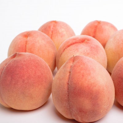 《7月発送》和歌山の厳選白桃 約0.75kg【白鳳・清水白桃・川中島・もも】【化粧箱入り】