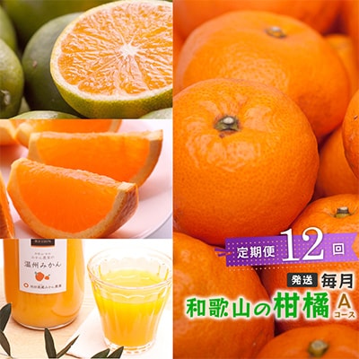 【発送月固定定期便】季節の柑橘定期便A【フルーツ定期便】【和歌山県有田】全12回