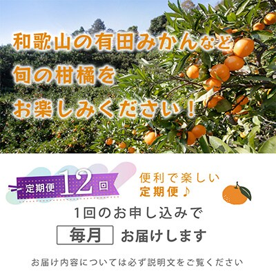 【発送月固定定期便】季節の柑橘定期便A【フルーツ定期便】【和歌山県有田】全12回