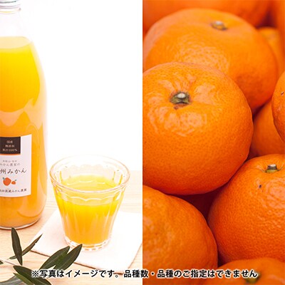 【発送月固定定期便】季節の柑橘定期便A【フルーツ定期便】【和歌山県有田】全12回