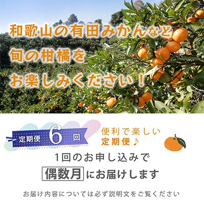【発送月固定定期便】季節の柑橘定期便A【フルーツ定期便】【和歌山県有田】全6回