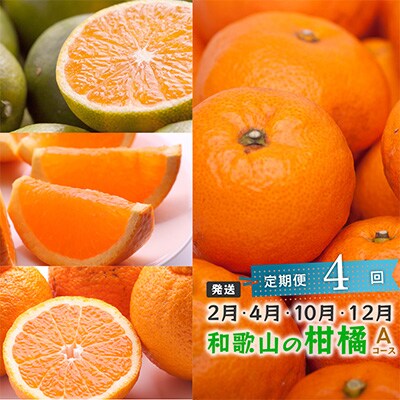 【発送月固定定期便】季節の柑橘定期便A【フルーツ定期便】【和歌山県有田】全4回