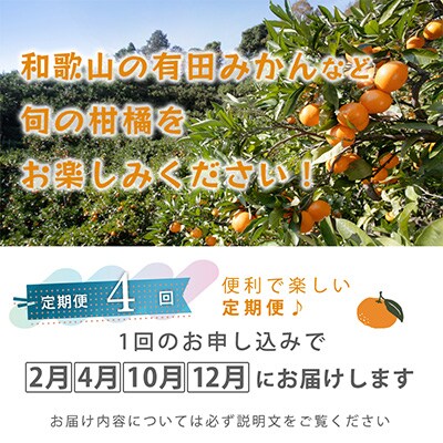 【発送月固定定期便】季節の柑橘定期便A【フルーツ定期便】【和歌山県有田】全4回