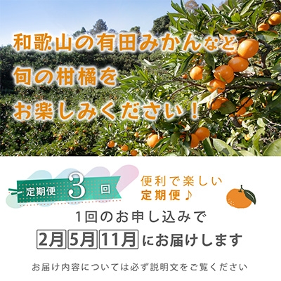 【発送月固定定期便】季節の柑橘定期便A【フルーツ定期便】【和歌山県有田】全3回