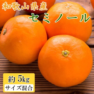 和歌山県産セミノールオレンジ約5kg(サイズ混合 秀品) (和歌山市)