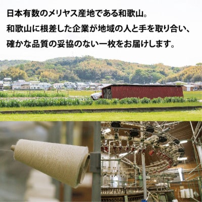 KAZE(ケイズ)　麻素材　ヘンプコットン　Tシャツ　スモークグリーン　XLサイズ