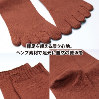 和歌山 国内製造 天然繊維 ヘンプ素材 靴下 レンガ 23-25cm