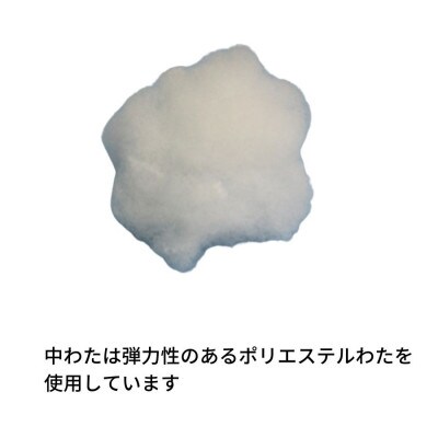 《アウトラスト 枕 カバー2枚付 43x63cm チェック ピンク》OLMマドラスPK