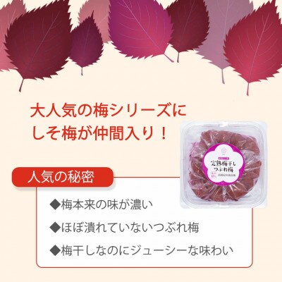 紀州南高梅 完熟 梅干しつぶれ梅 しそ梅 800g 塩分18%
