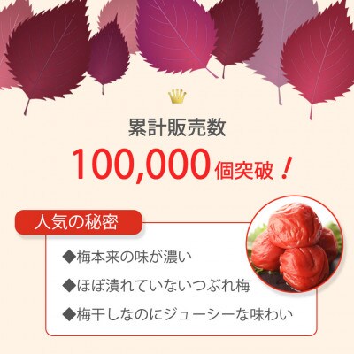 紀州南高梅 完熟 梅干し つぶれ梅 しそ梅 800g 塩分10%
