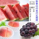 【発送月固定定期便】和歌山の夏の人気フルーツ定期便全3回