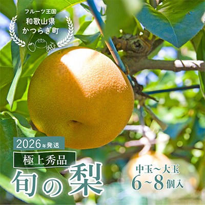 先行予約!　旬の梨　極上秀品(中玉～大玉)6～8個入り　2026年8月中旬頃から発送
