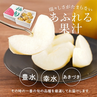 先行予約!　旬の梨　極上秀品(中玉～大玉)6～8個入り　2026年8月中旬頃から発送