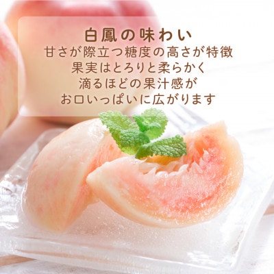 先行受付!　桃の王様【白鳳】　特秀品　約2kg　6～9個入　こだわり農家厳選!
