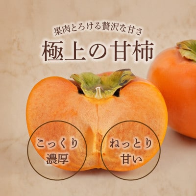 先行予約!富有柿　秀品6~8個入り　こだわり農家厳選【2026年10月末頃から順次発送】