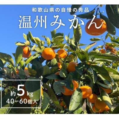 温州みかん先行予約!和歌山県産ミカン約5kg(40個～60個入)秀品　味に自信あり!こだわり農家厳選