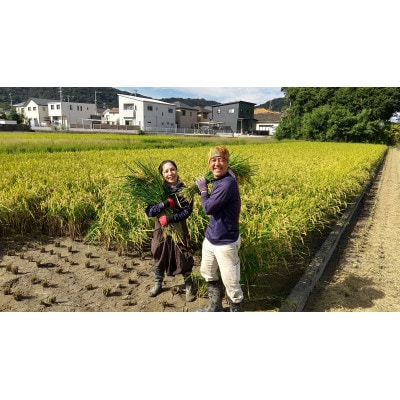 和歌山市産ファームゆうきのお米 玄米 | 和歌山県和歌山市