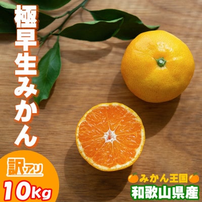 【2024年10月上旬から11月上旬発送】極早生みかん10kg【訳あり】(和歌山県産)　