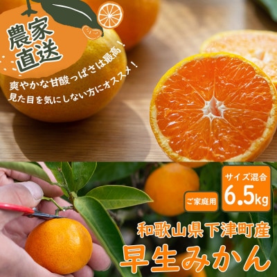 早生みかん6.5kgご家庭用(大小混合)訳あり品　和歌山県まごころ産直みかんより直送!