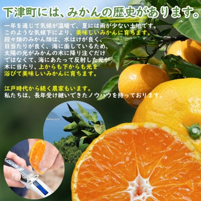 早生みかん6.5kgご家庭用(大小混合)訳あり品　和歌山県まごころ産直みかんより直送!