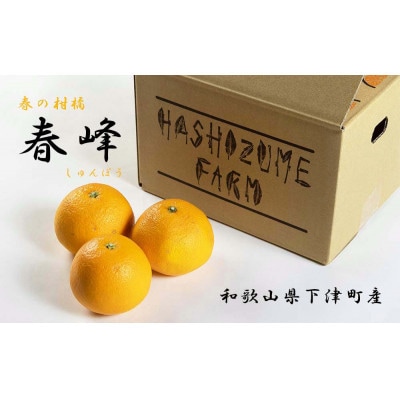 「春峰(しゅんぽう)」5kg　和歌山生まれの希少品種、3月より春の柑橘を順次発送予定!