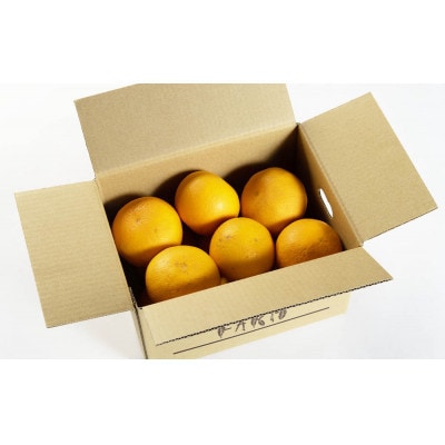 「春峰(しゅんぽう)」5kg　和歌山生まれの希少品種、3月より春の柑橘を順次発送予定!