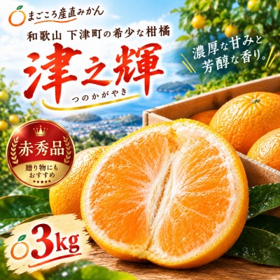 「津之輝(つのかがやき)」3kg　濃厚な甘みと芳醇な香り。3月より春の柑橘を順次発送予定!