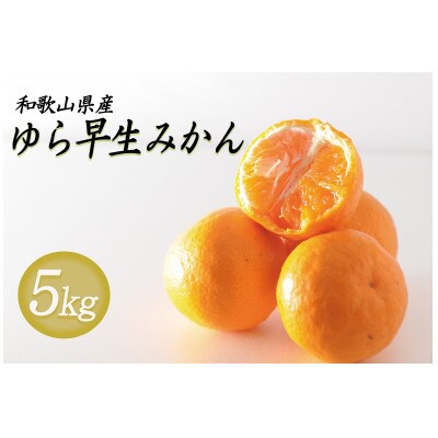 贈答用にも◎【赤秀】和歌山下津 ゆら早生 みかん 5kg(極早生みかん)|柔らか食感&濃厚な甘みの極