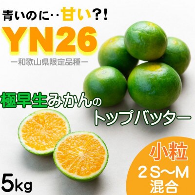 YN26 極早生 まごころ産直みかんより農園直送