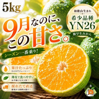 YN26 極早生みかん まごころ産直みかんより農園直送
