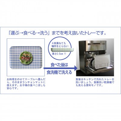 SRトレー L 39cm マーチ グリーン 2枚セット 電子レンジと食洗機対応のトレー