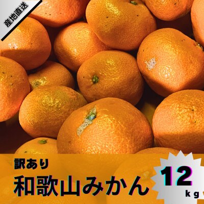 【訳あり】和歌山みかん 11kg+1kg保証分 サイズ混合 11月中旬より順次発送