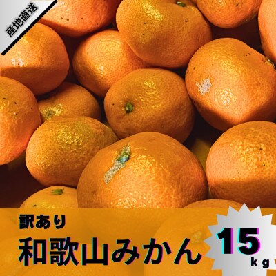 【訳あり】和歌山みかん 14kg+1kg補償分　サイズ混合 11月中旬より順次発送