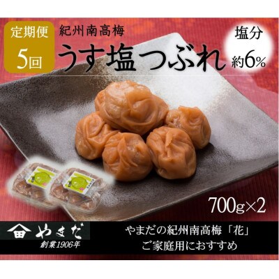 【2ヵ月毎定期便】紀州南高梅うす塩つぶれ(塩分約6%)700g×2全5回