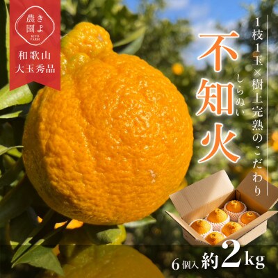 先行受付　不知火　希少な樹上完熟!　秀品大玉　6個入