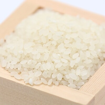 青森県東北町産 まっしぐら 精米8kg