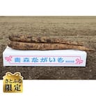 2025年12月中旬発送予定 青森県東北町特産土付き長芋　5.5kg以上(さとふる限定)