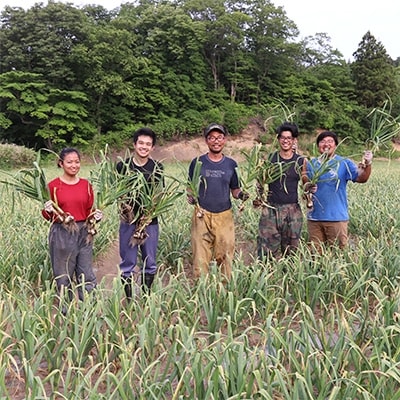 【2026年2月中旬発送予定】【訳あり】青森県東北町産乾燥にんにく3kg(さとふる限定)