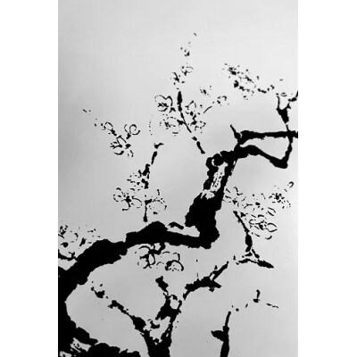 フラットプレートM　墨桜純白