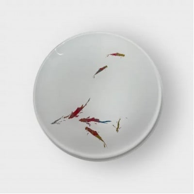 丸小皿　鯉　純白